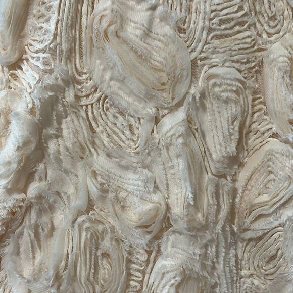 HD IN PARIS (Anthro) Floral Applique Full Midi A-Line Skirt, Ivory, Size 0 - Picture 4 of 10